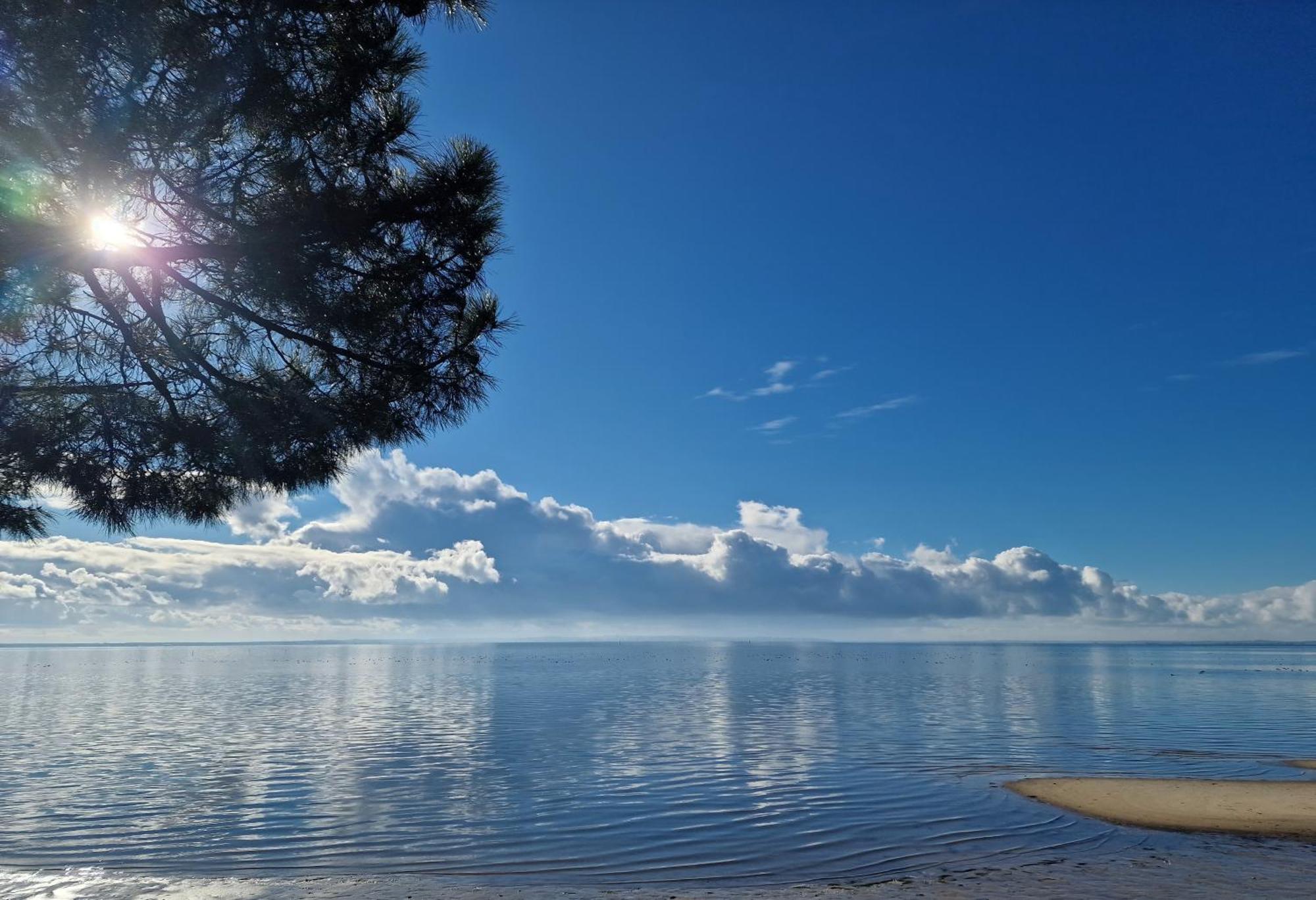 Villa Petit-Pere - A 400M De La Plage Taussat-les-Bains Экстерьер фото